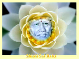sai-baba-flower-lotus-wallpaper