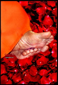 lotus-feet-on-rose-petals-sri-sathya-sai-baba-wallpaper-image-picture-photos-sboi
