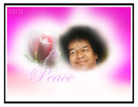 sri-sathya-baba-rose-peace-photo-wallpaper