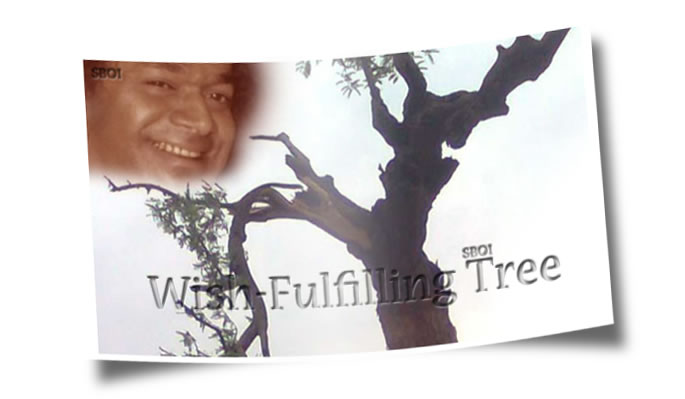 WISH-FULFILLING TREE IN PUTTAPARTHI